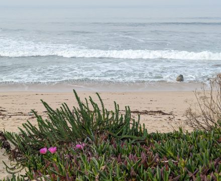 Eine Reise durch Portugal: Póvoa de Varzim mit allen Sinnen