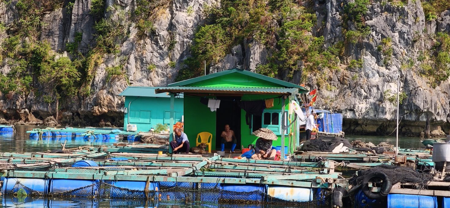 Vietnams schwebende Dörfer: Ha Long Bay