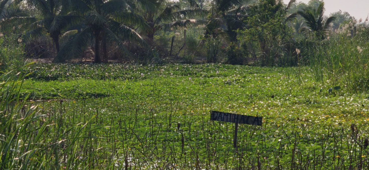 Elefantenberg Haiphong: Werde ich jemals ankommen?