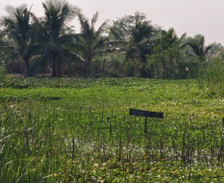Elefantenberg Haiphong: Werde ich jemals ankommen?