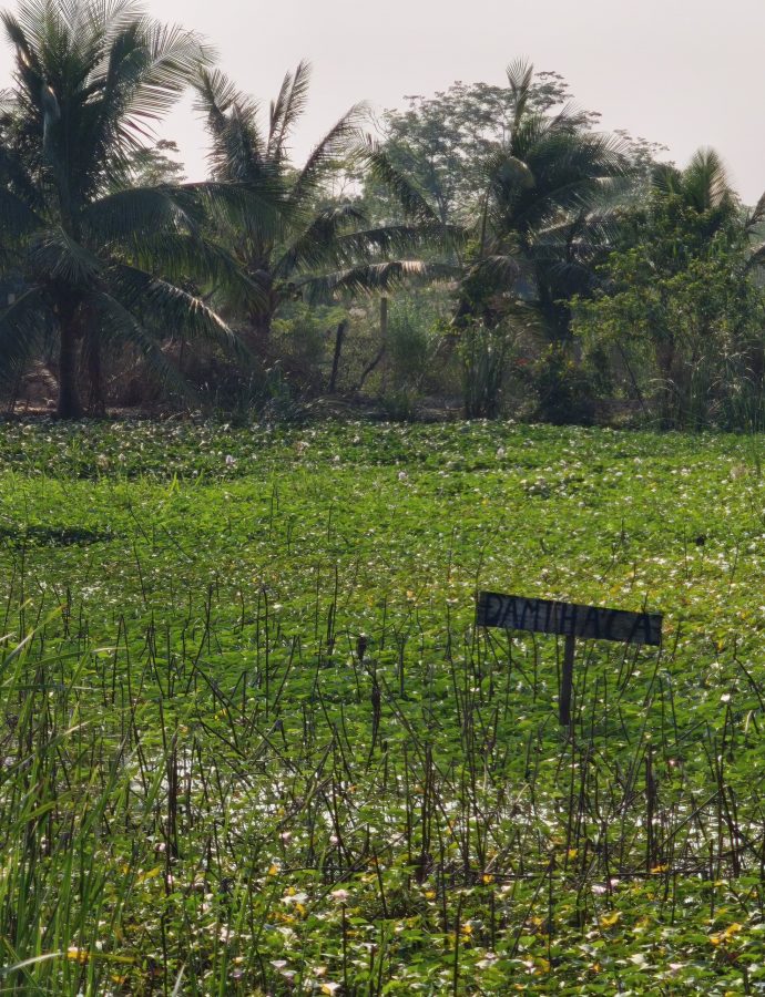 Elefantenberg Haiphong: Werde ich jemals ankommen?