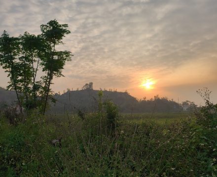 Elefantenberg Haiphong: „Du bist in Gefahr!“