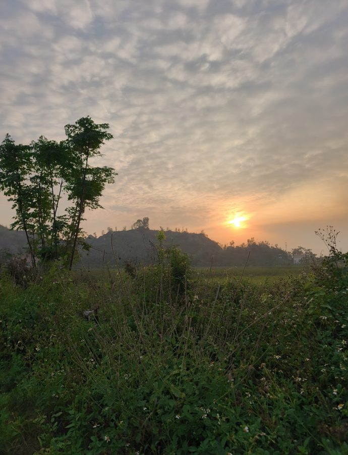 Elefantenberg Haiphong: „Du bist in Gefahr!“
