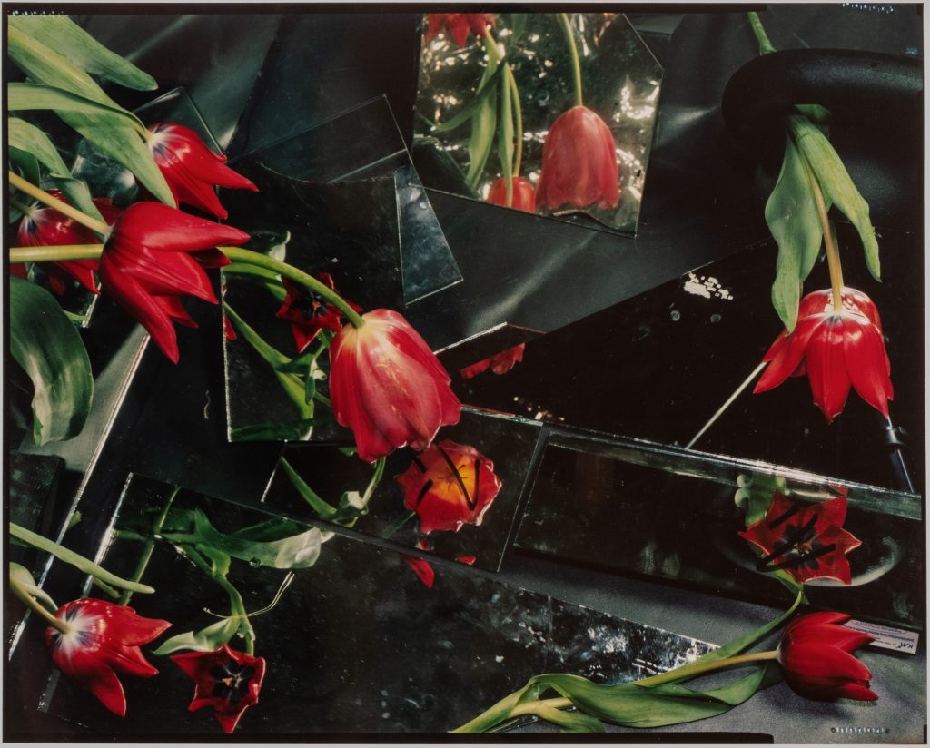 Ketuta Alexi-Meskhishvili, Tulip Season for Henri, 2024, Analog C-print, 32 × 41.4 cm, AP II/II of an edition of 2 + II AP © Courtesy of the artist and LC Queisser Tbilisi, Cologne, Foto: George Kolbaia