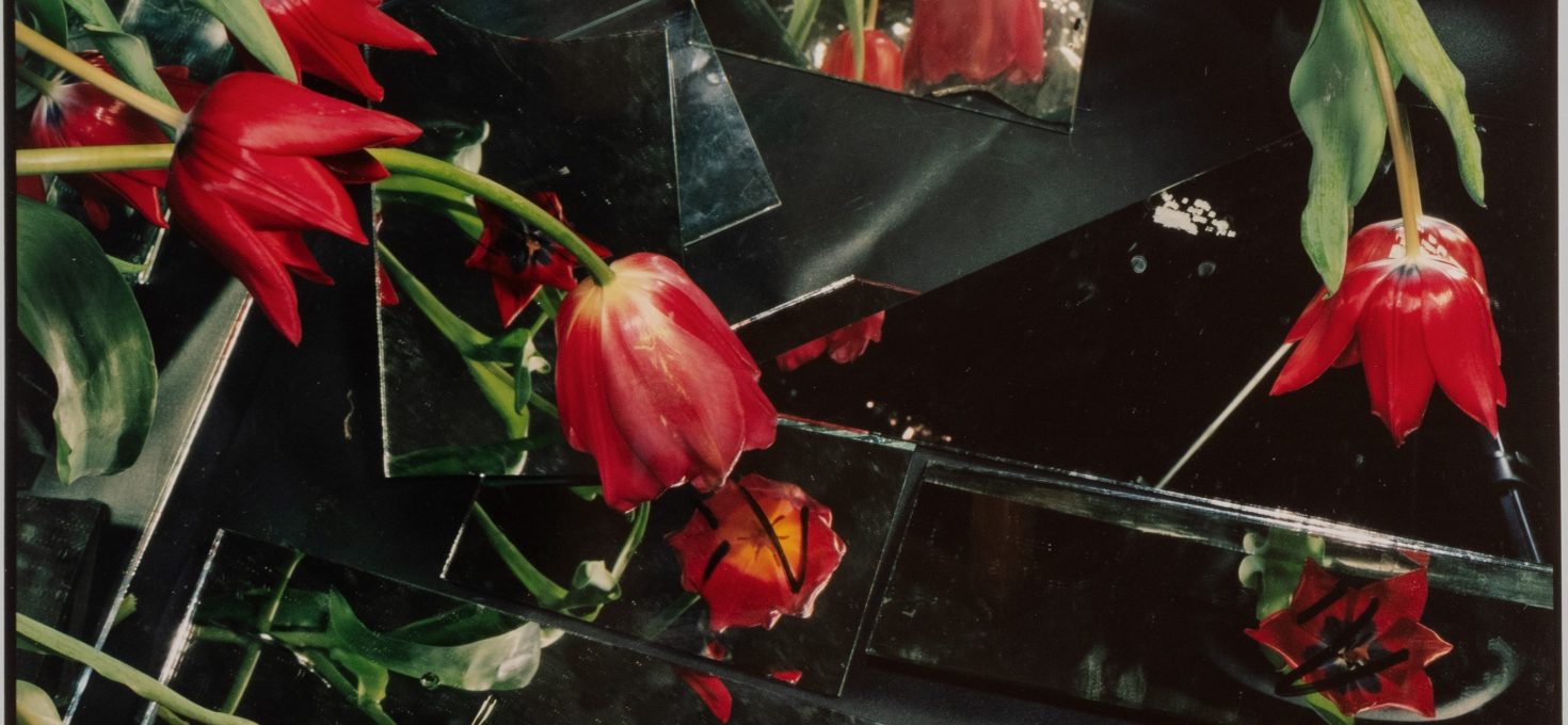 Coming Soon: Blumen-Ausstellung in Baden-Baden