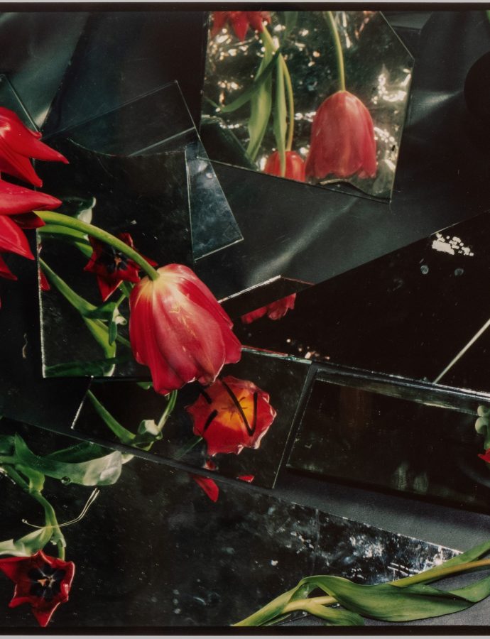 Ketuta Alexi-Meskhishvili, Tulip Season for Henri, 2024, Analog C-print, 32 × 41.4 cm, AP II/II of an edition of 2 + II AP © Courtesy of the artist and LC Queisser Tbilisi, Cologne, Foto: George Kolbaia